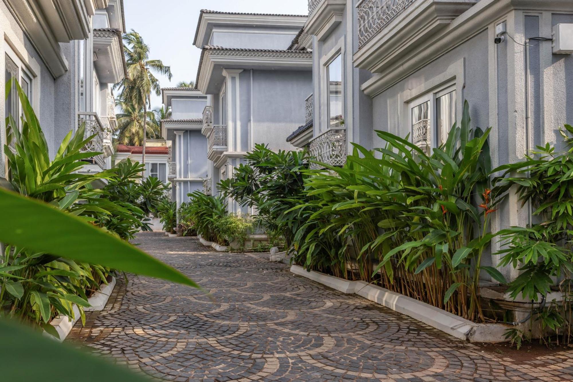 The Hornbill Villa - 3Bhk With Pvt Pool In Saligao Ngoại thất bức ảnh